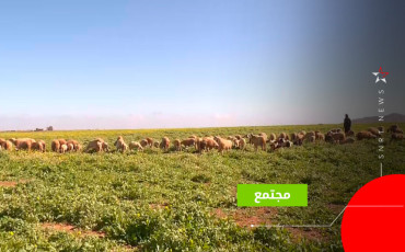 فلاحة بمراكش
