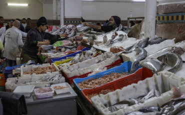 Consommation poisson