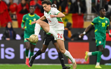 Neil El Aynaoui