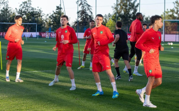 Lions de l'Atlas