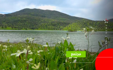 taounat