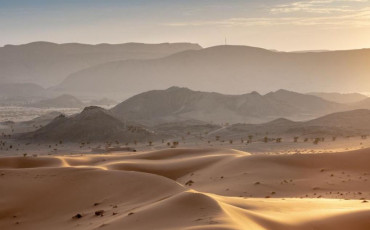 معرض "في البحث"