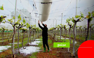 شباك الحماية من البرد