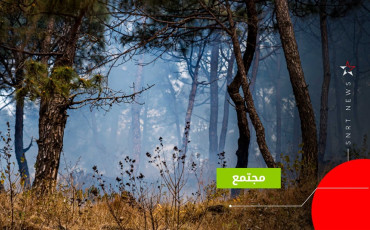 حرائق الغابات 