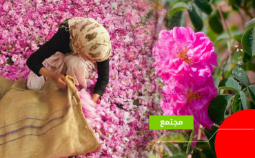 قلعة مكونة