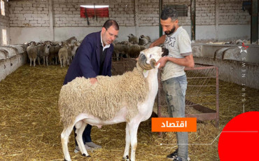 عيد الأضحى