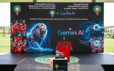 GEMINI