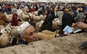 moutons