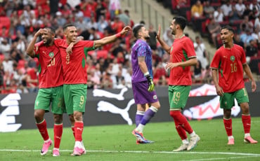 Lions de l'Atlas