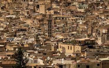 FES
