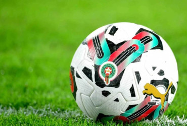 كأس التميز - البطولة الاحترافية