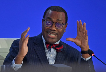  Akinwumi Adesina
