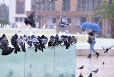 أمطار