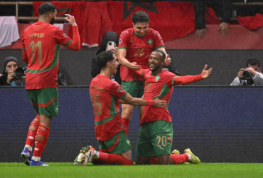 Lions de l'Atlas