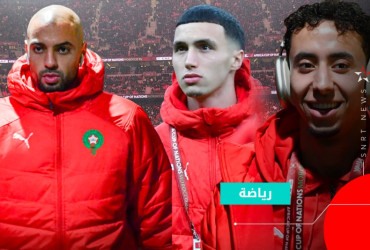 les lions