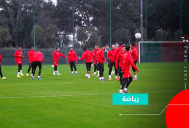 أسود الأطلس