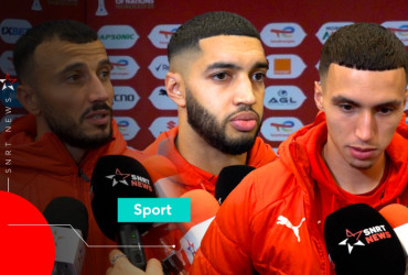 Lions de l'Atlas