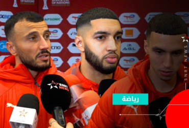 les lions de l'atlas  