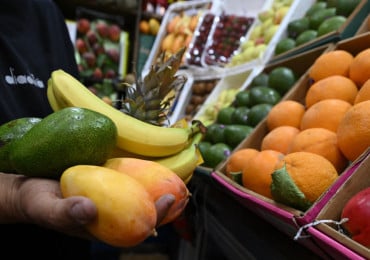 Alimentation