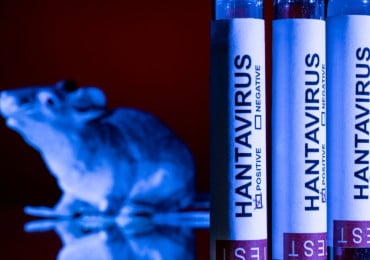 Hantavirus