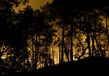 Incendie Forêt de Fontainebleau