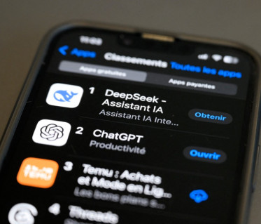  DeepSeek