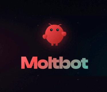 Moltbot/Clawdbot