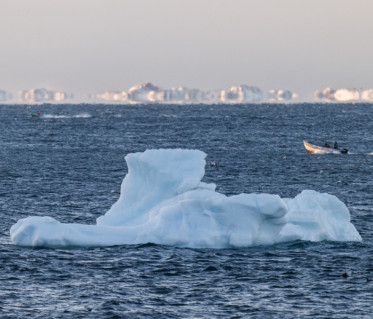 Iceberg