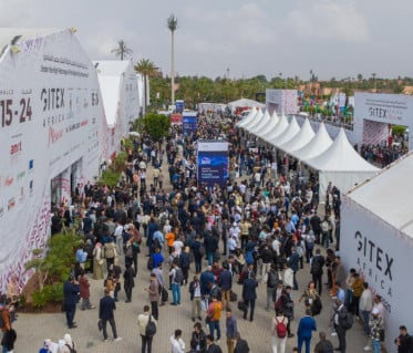 Gitex