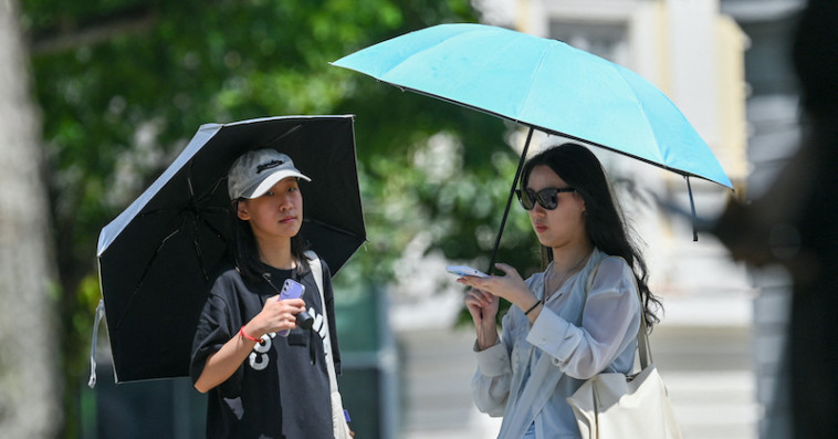 Des gens à l'abri du soleil sous des parapluies