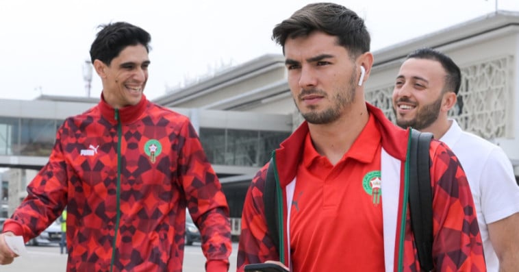 Lions de l'Atlas