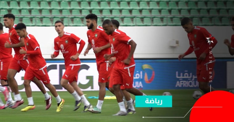 أسود الأطلس