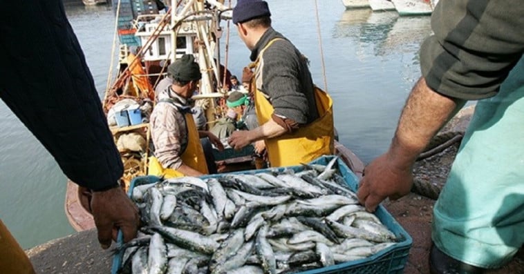 Pêche