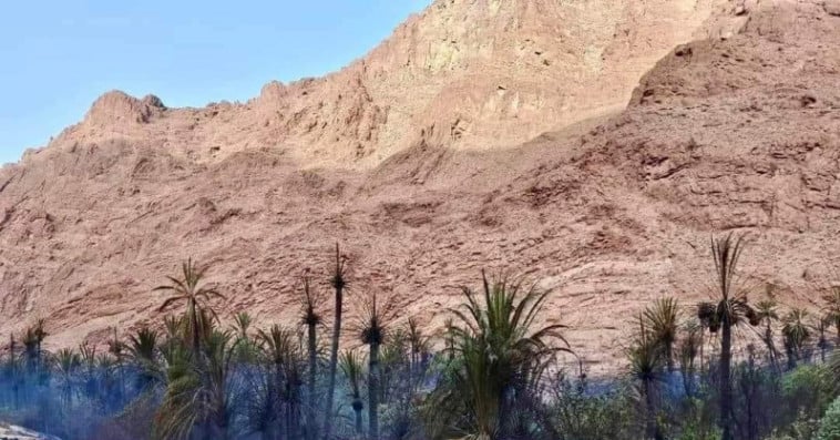 حريق واحة في تنغير