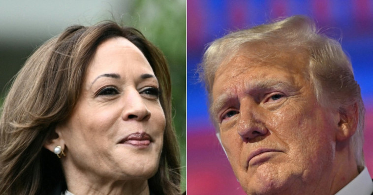 Trump Harris