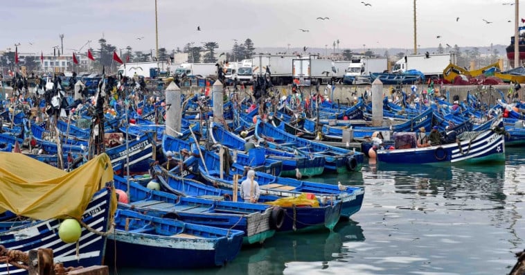 Port de pêche