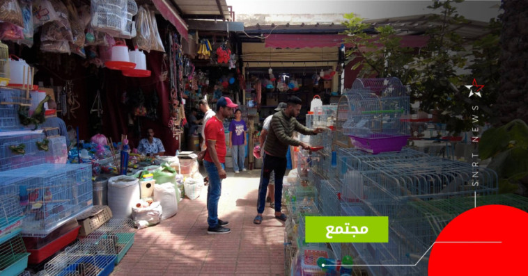 سوق الحيوانات 