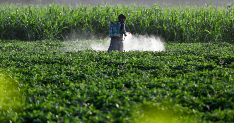 Insecticide