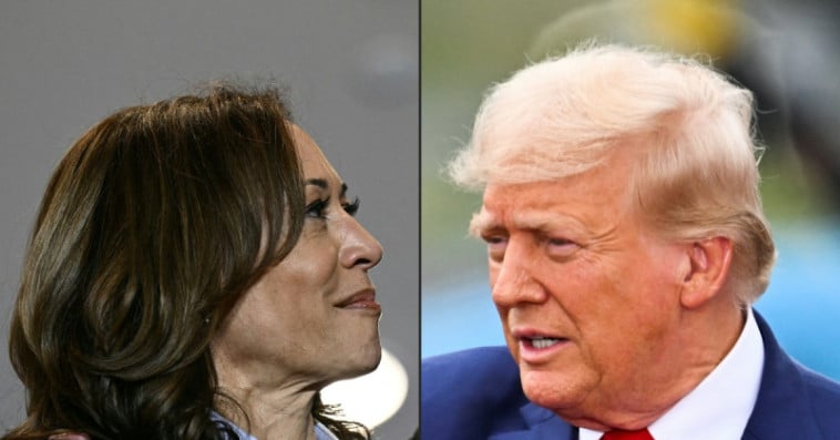 TRUMP HARRIS