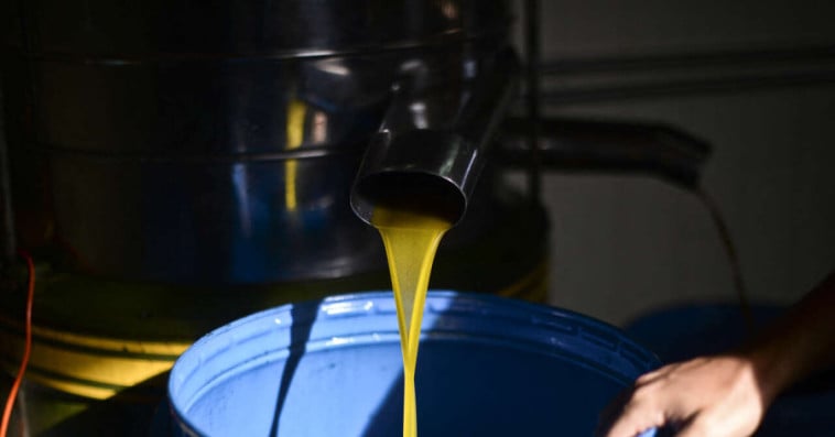 Huile d'olive