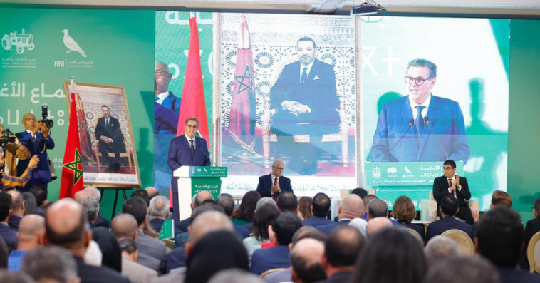الأغلبية الحكومية