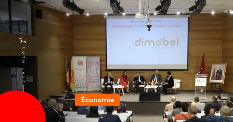 Dimobel