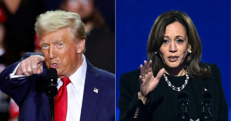trump et harris