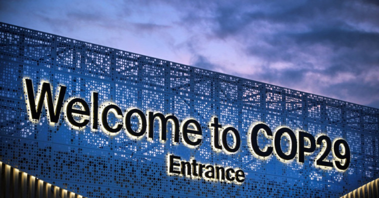 COP 29