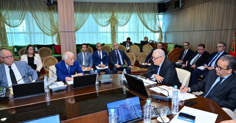 وزير الداخلية 
