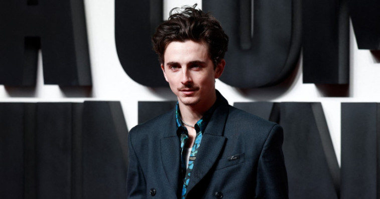 Timothee Chalamet 