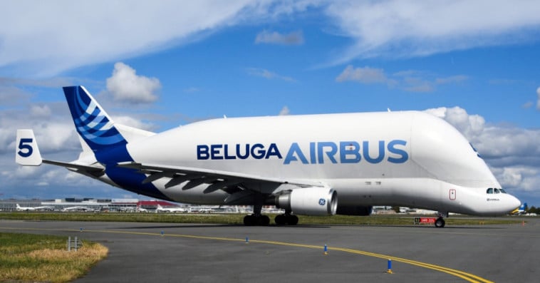 Beluga Airbus