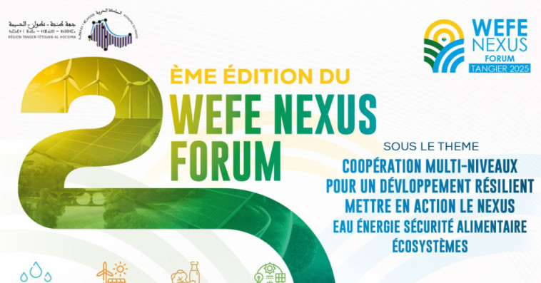 Nexus