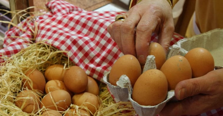 oeufs