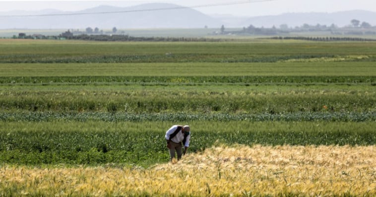 agri